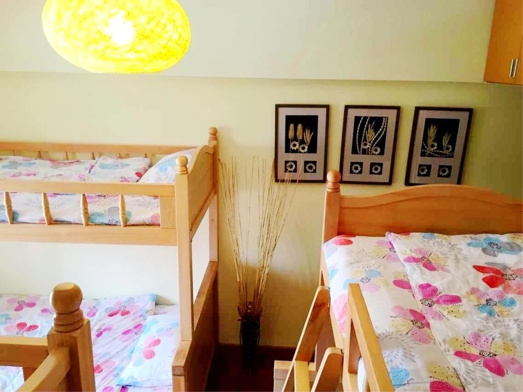Kunming Cat Nest Female Youth Hostel Buitenkant foto